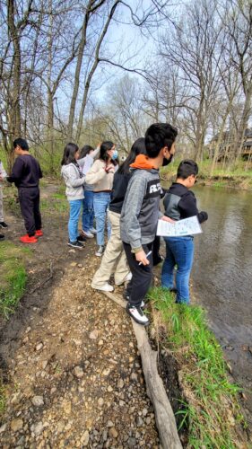 Students look for signs of life at Ferson Creek.
