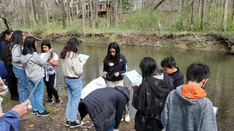 Students look for signs of life at Ferson Creek.